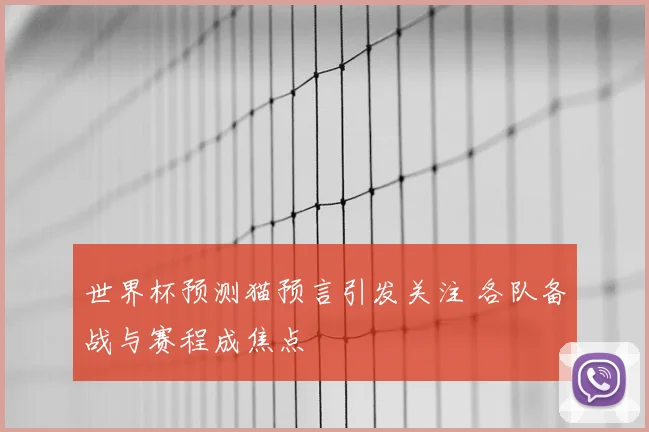 世界杯预测猫预言引发关注 各队备战与赛程成焦点