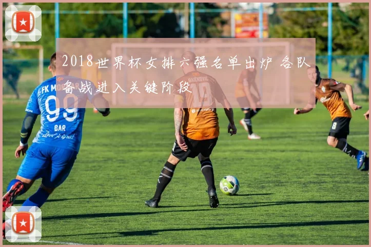 2018世界杯女排六强名单出炉 各队备战进入关键阶段
