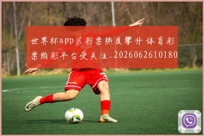 世界杯app买彩票热度攀升 体育彩票购彩平台受关注_20260626101803